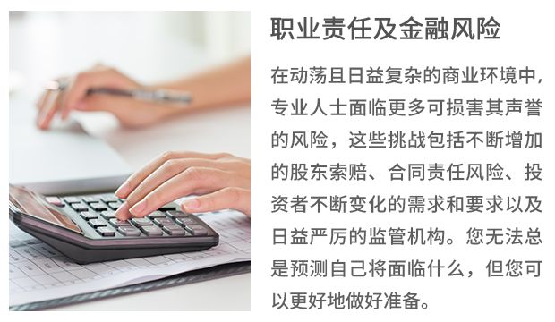 2-Professional &Financial Risks-binf.png